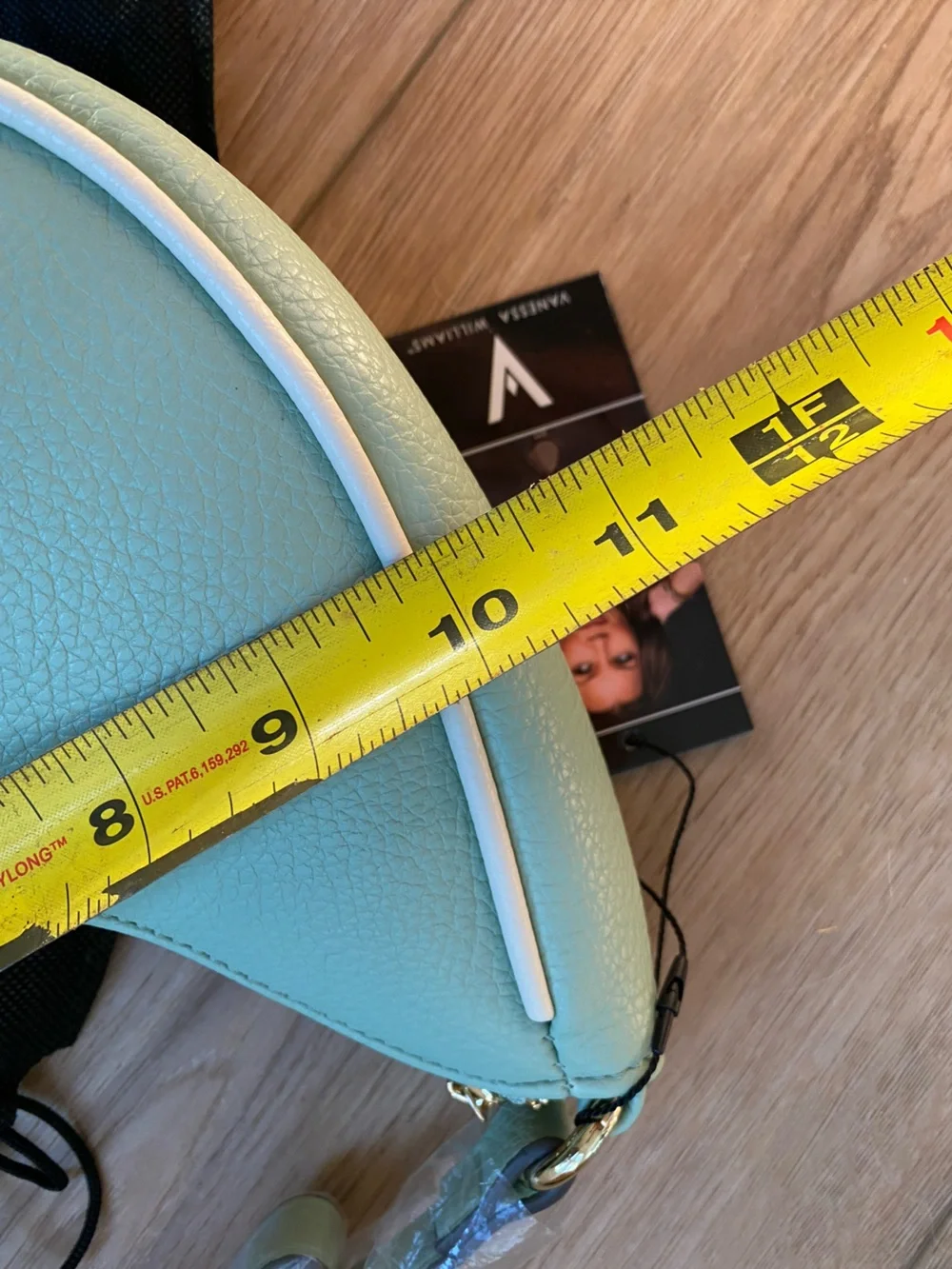 Vanessa Williams Crescent Hobo Bag in Mint Green